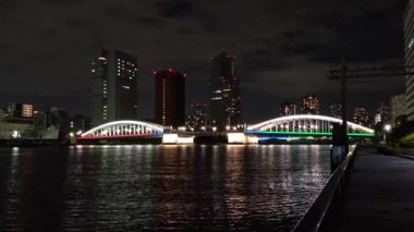 Tokyo gece görüşünde köprü