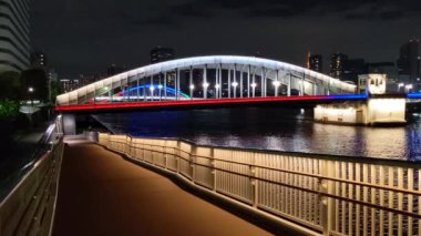 Tokyo gece görüşünde köprü