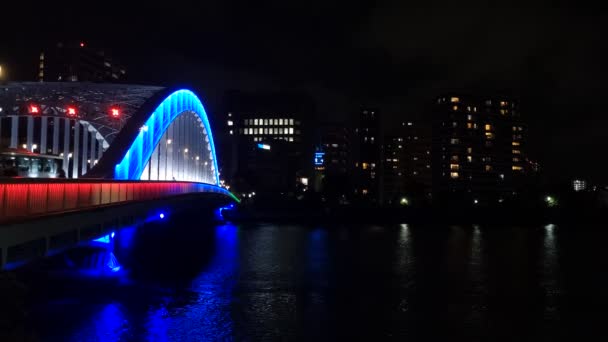 Puente Tokio Vista Nocturna — Vídeo de stock