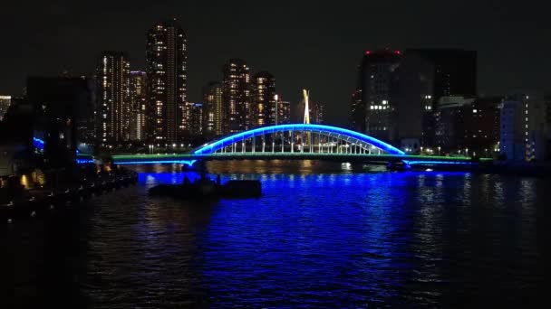 Puente Tokio Vista Nocturna — Vídeos de Stock