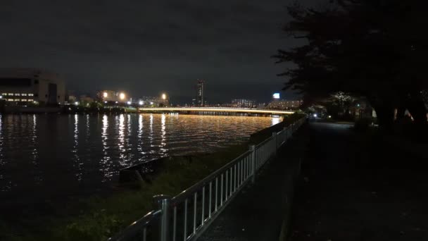 Tokyo Gece Görüşünde Köprü — Stok video