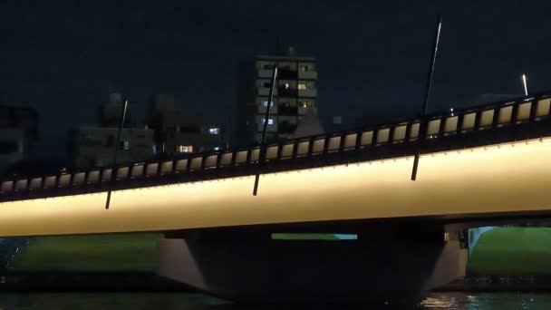 Ponte Tóquio Vista Noturna — Vídeo de Stock