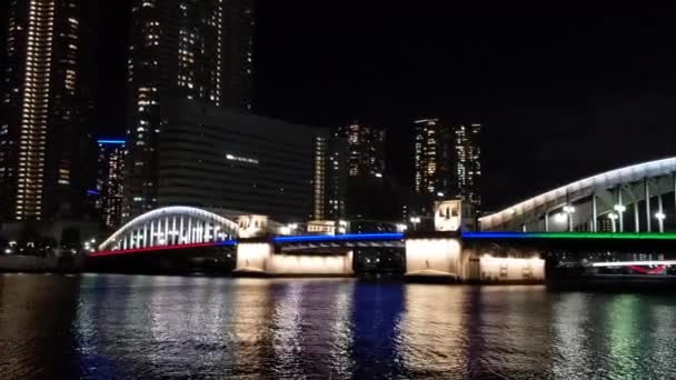 Puente Tokio Vista Nocturna — Vídeo de stock