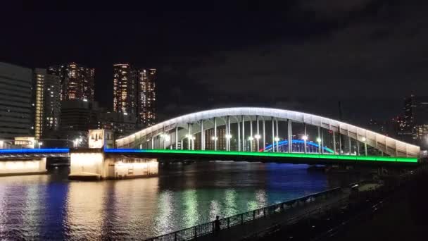 Puente Tokio Vista Nocturna — Vídeos de Stock