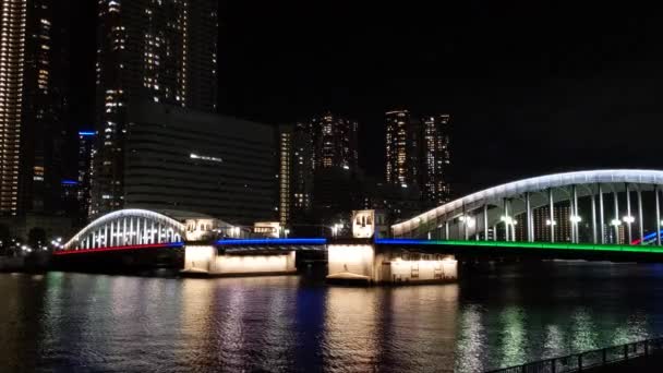 Ponte Tóquio Vista Noturna — Vídeo de Stock