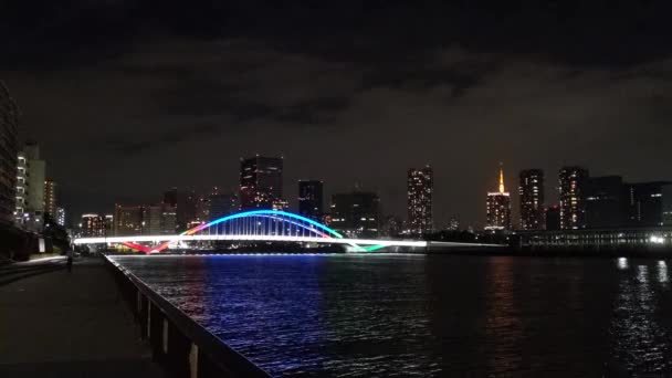 Γέφυρα Στο Τόκιο Νυχτερινή Θέα — Αρχείο Βίντεο