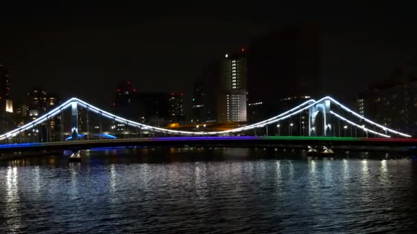 Bridge Tokyo Night View — Stock Video