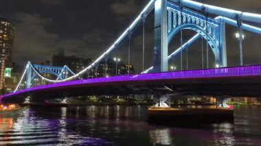 Tokyo gece görüşünde köprü