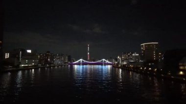 Tokyo gece görüşünde köprü