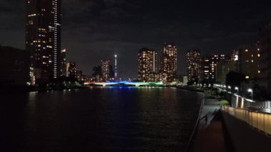 Tokyo gece görüşünde köprü