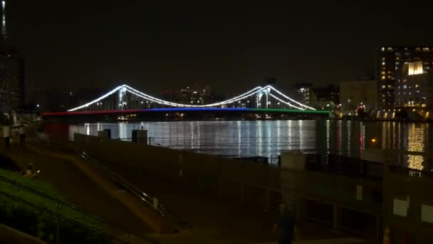東京夜景の橋 — ストック動画