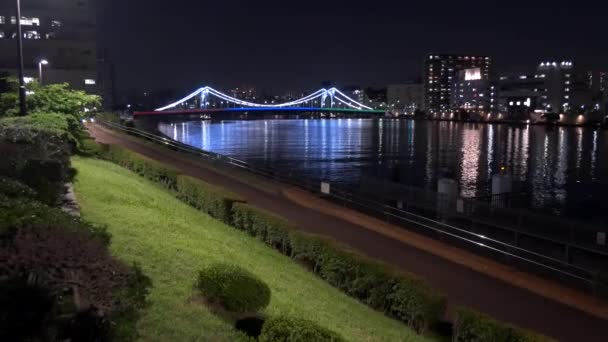 Міст Токійському Нічному Краєвиді — стокове відео