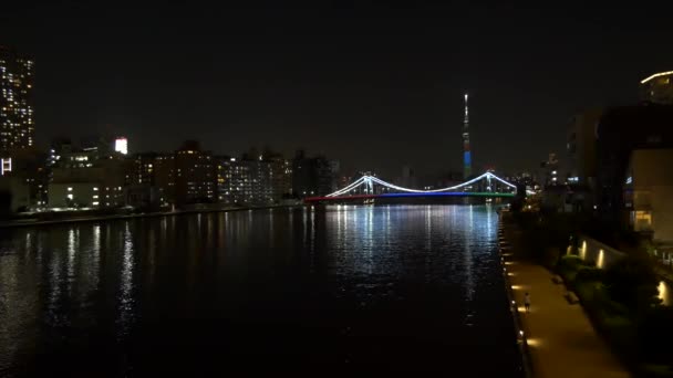 Brug Bij Tokyo Nachtzicht — Stockvideo