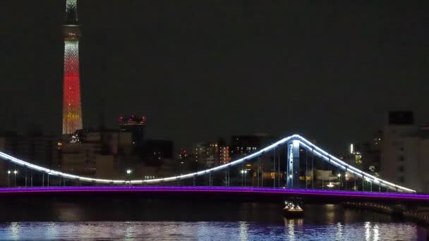 Puente Tokio Vista Nocturna — Vídeos de Stock