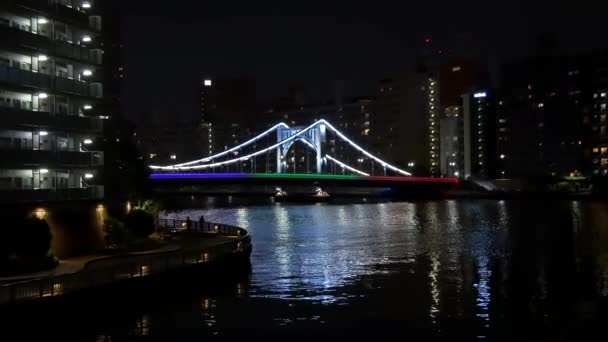 Brug Bij Tokyo Nachtzicht — Stockvideo