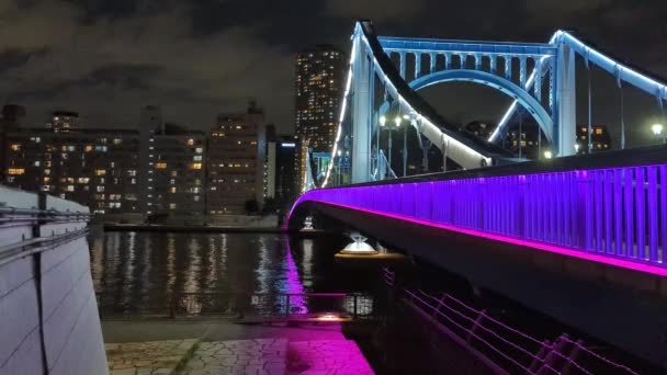 Most Tokiu Noční Pohled — Stock video