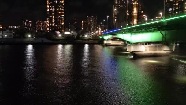 Puente Tokio Vista Nocturna — Vídeo de stock