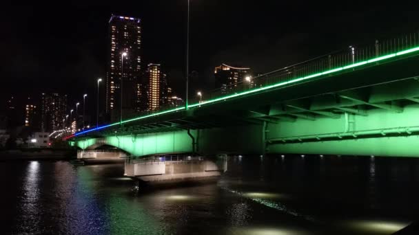 Bridge Tokyo Night View — Stock Video