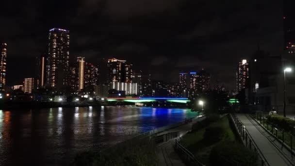 Tokyo Gece Görüşünde Köprü — Stok video