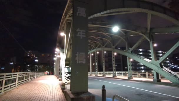 Puente Tokio Vista Nocturna — Vídeo de stock