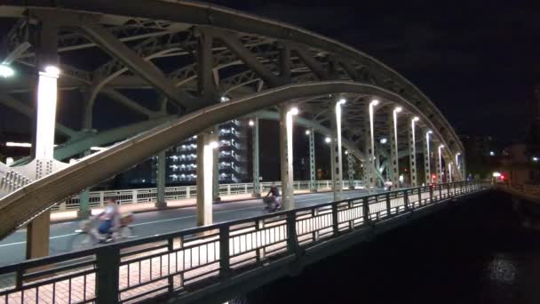 Bridge Tokyo Night View — Stock Video