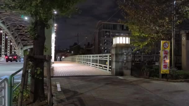 Puente Tokio Vista Nocturna — Vídeo de stock