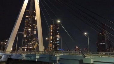 Tokyo gece görüşünde köprü