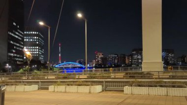 Tokyo gece görüşünde köprü