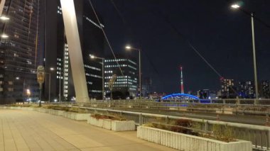 Tokyo gece görüşünde köprü