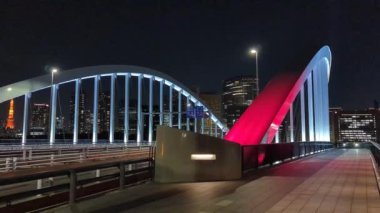 Tokyo gece görüşünde köprü