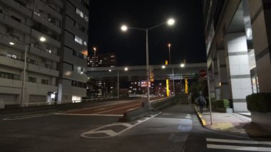 Tokyo gece görüşünde köprü