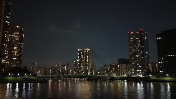 Brug Bij Tokyo Nachtzicht — Stockvideo