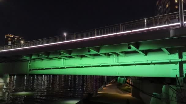 Bridge Tokyo Night View — Stock Video