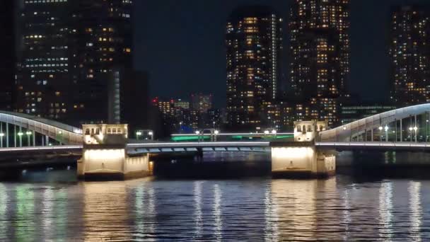 Híd Tokiói Éjszakai Kilátásban — Stock videók