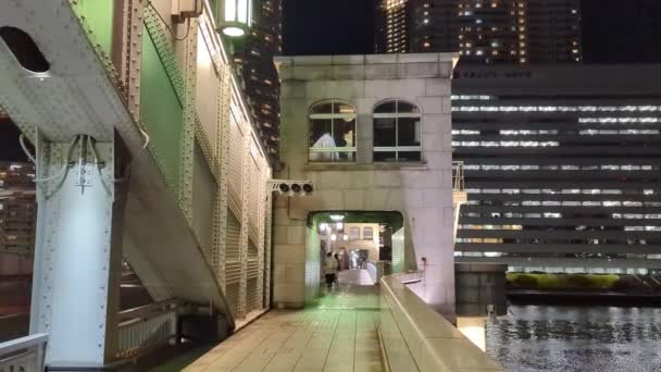 Podul Din Tokyo Vedere Noapte — Videoclip de stoc