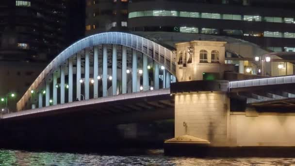 Puente Tokio Vista Nocturna — Vídeo de stock