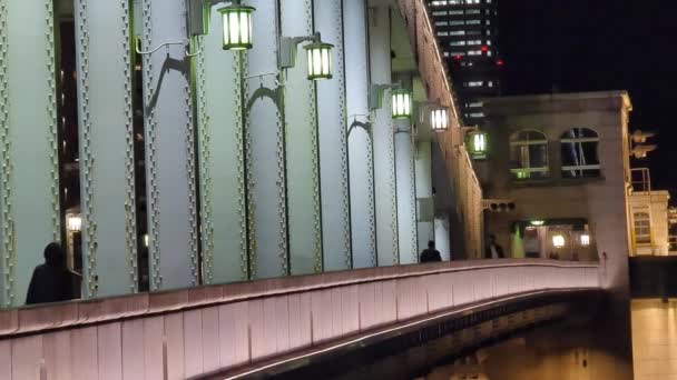 Brücke Bei Nacht Tokio — Stockvideo