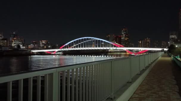 Brug Bij Tokyo Nachtzicht — Stockvideo