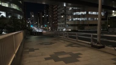 Tokyo gece görüşünde köprü