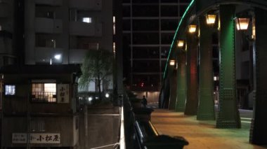 Tokyo gece görüşünde köprü