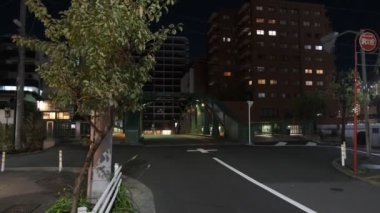 Tokyo gece görüşünde köprü