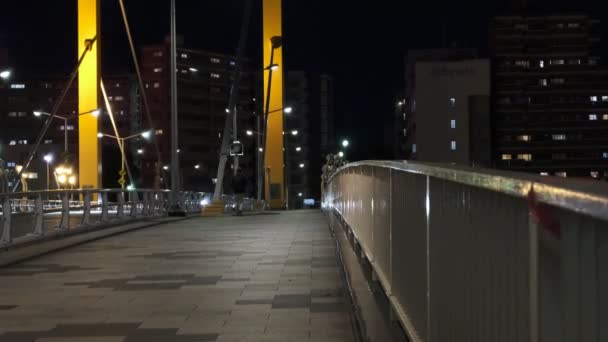 Ponte Tóquio Vista Noturna — Vídeo de Stock