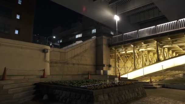 Tokyo Gece Görüşünde Köprü — Stok video