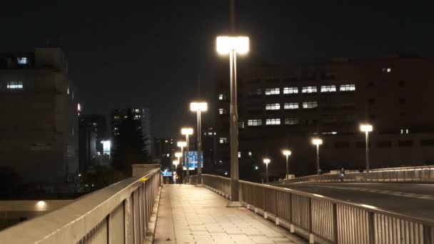 Puente Tokio Vista Nocturna — Vídeo de stock