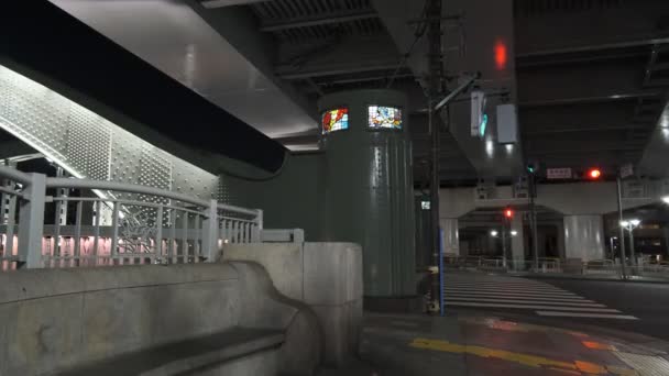 Brücke Bei Nacht Tokio — Stockvideo