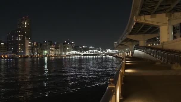 東京夜景の橋 — ストック動画