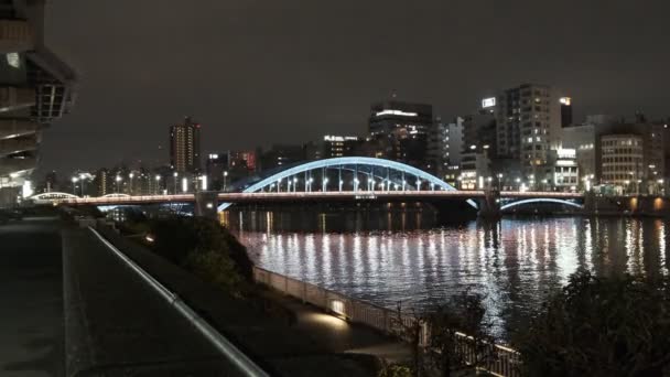 东京夜景桥 — 图库视频影像