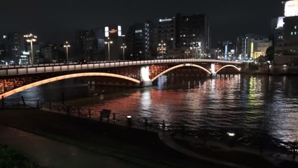 Puente Tokio Vista Nocturna — Vídeo de stock