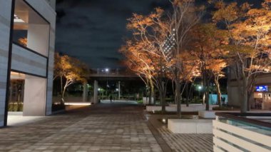 Japonya Tokyo Gece Manzarası