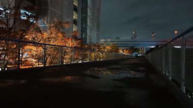 Japonya Tokyo Gece Manzarası